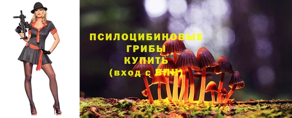 спиды Белокуриха
