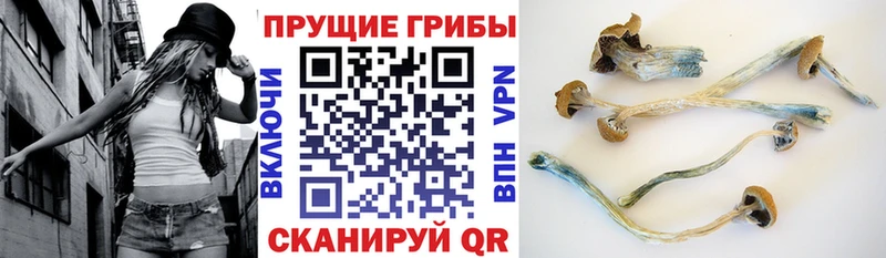 Галлюциногенные грибы мухоморы  Кубинка 