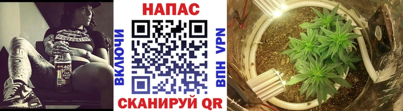 Конопля планчик Кубинка